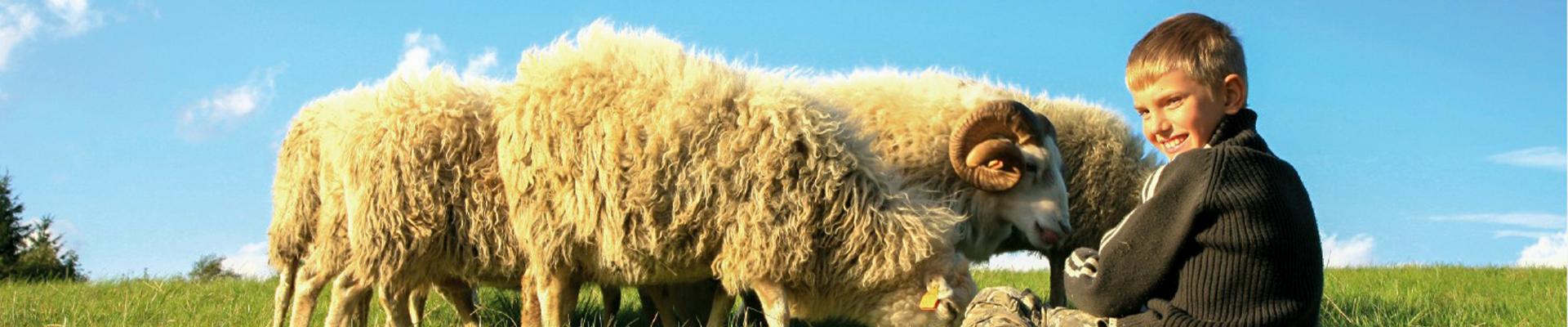 منطقة زلزال تركيا تبرع قربان