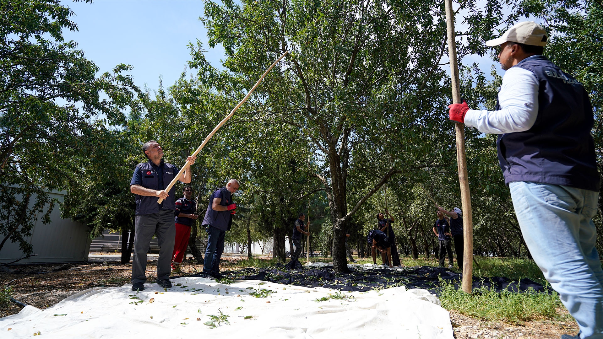 Kurtuluş Ormanı Uluslararası Gönüllüleri Doğayla ve İyilikle Buluşturuyor